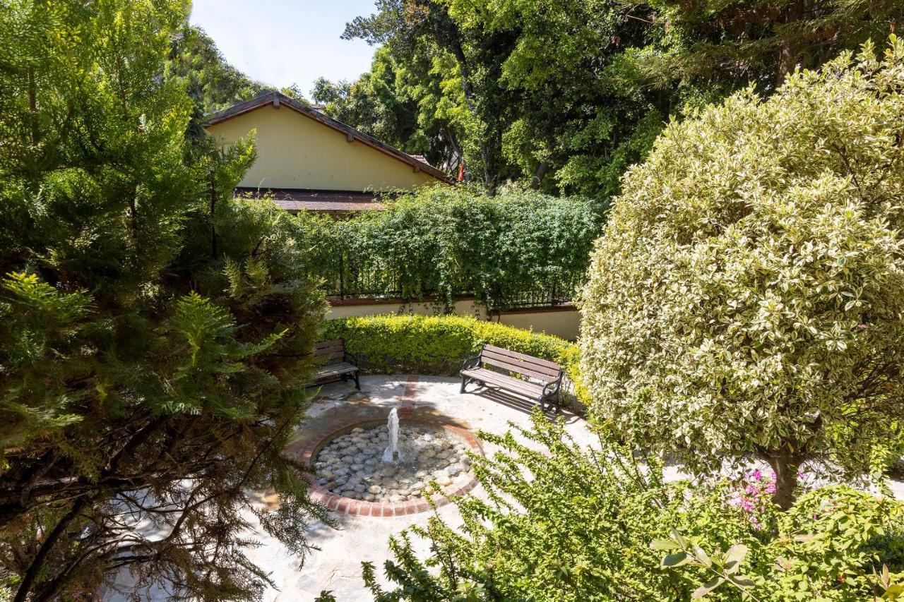 אלאניה Comfort Apartments מראה חיצוני תמונה